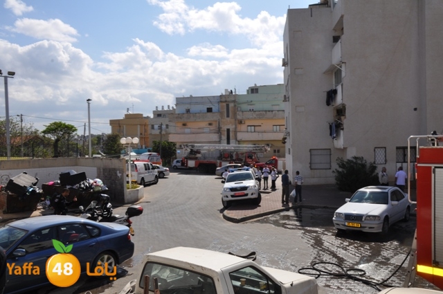 fireshekonatelarab (13).JPG